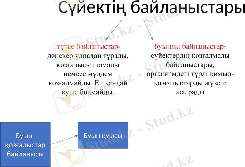 Slide 22