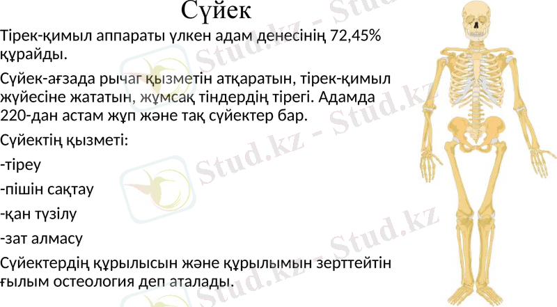 Slide 3