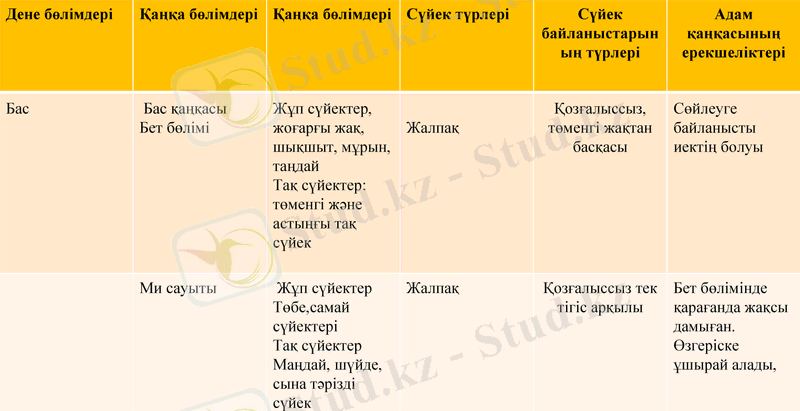 Slide 8