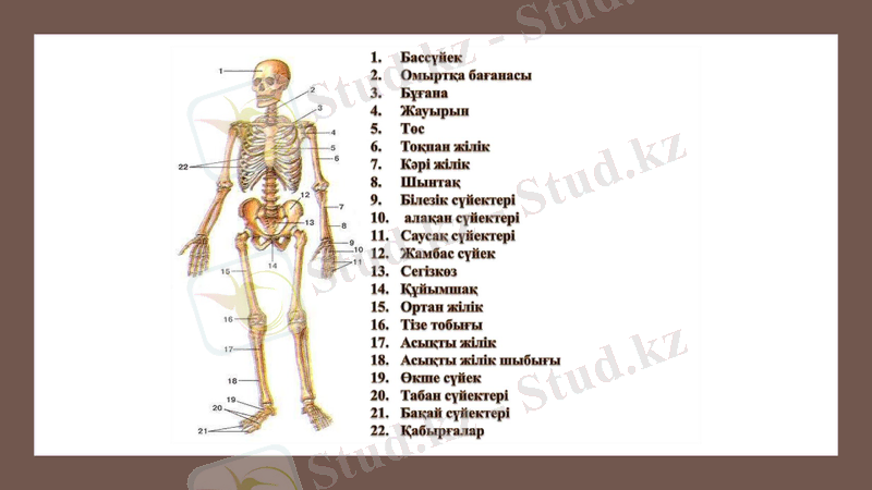 Slide 9
