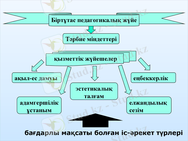 Slide 11
