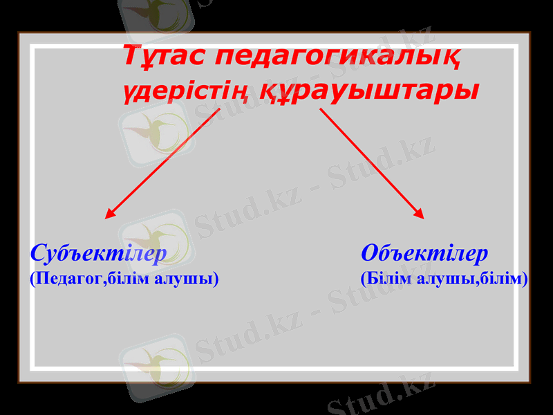Slide 6