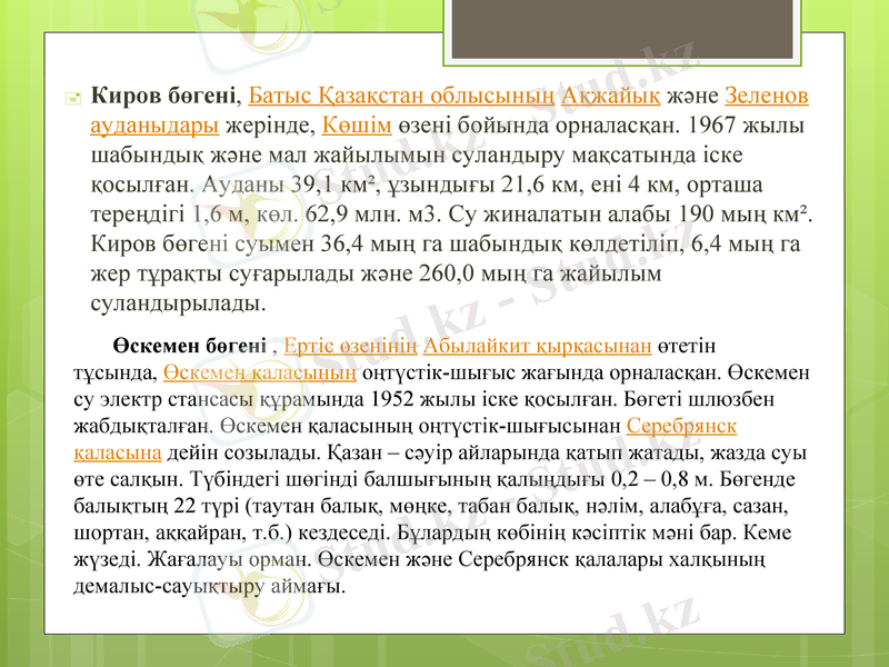 Slide 13