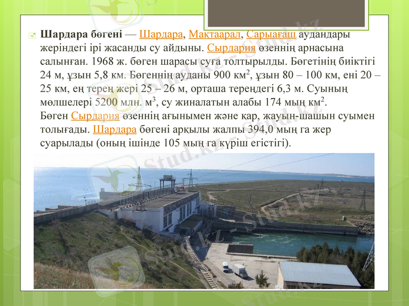 Slide 8