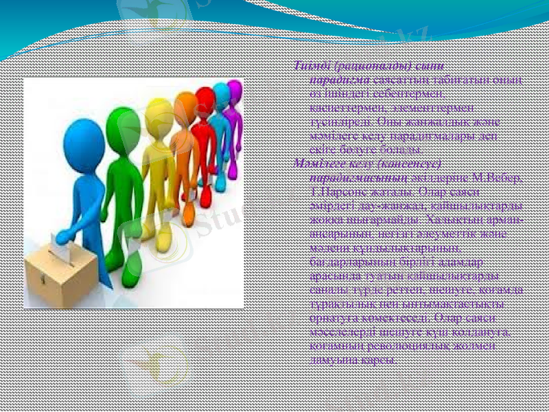 Slide 12