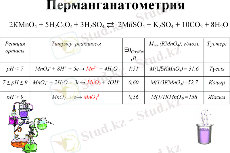 Slide 8
