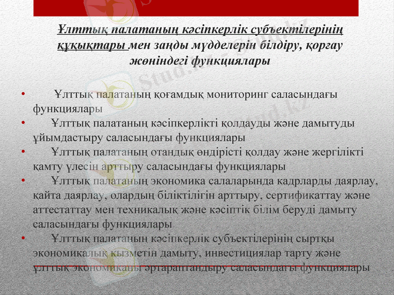 Slide 6