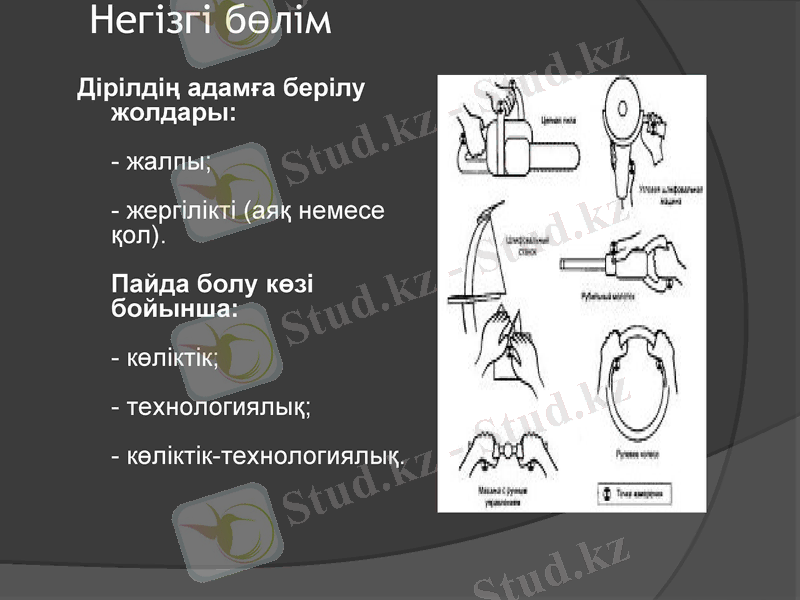 Slide 5