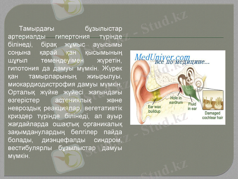 Slide 9