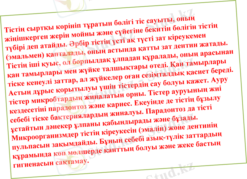 Slide 8