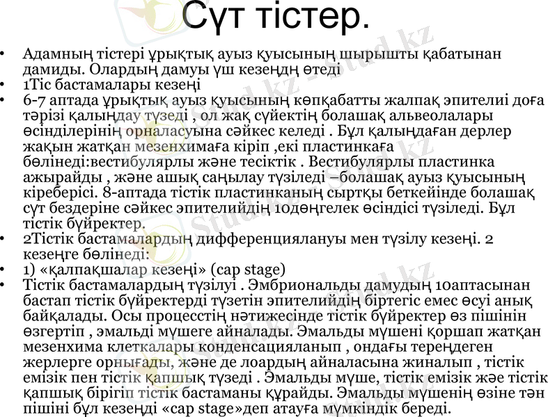 Slide 9