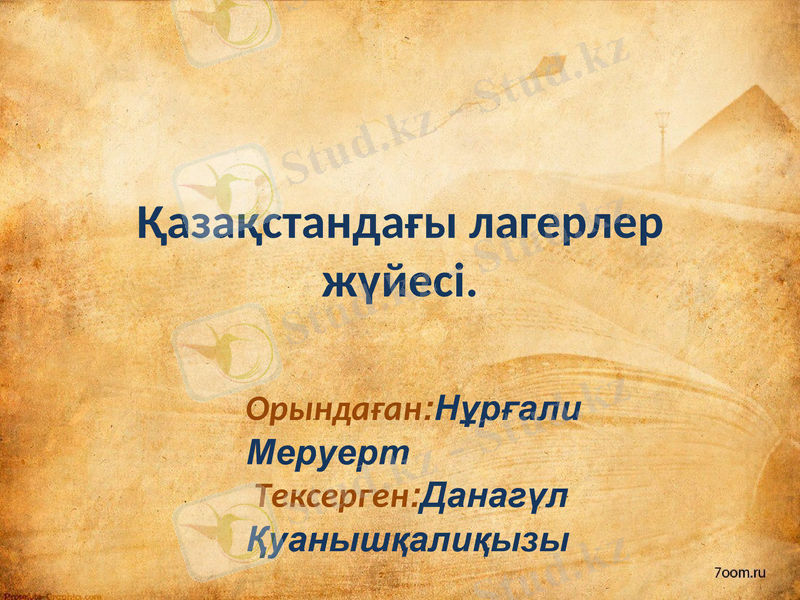 Slide 1