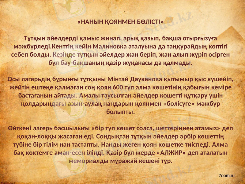 Slide 5
