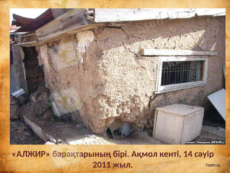 Slide 9