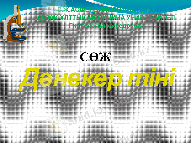 Slide 1