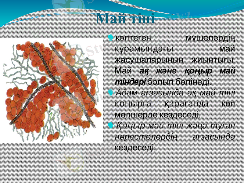 Slide 10