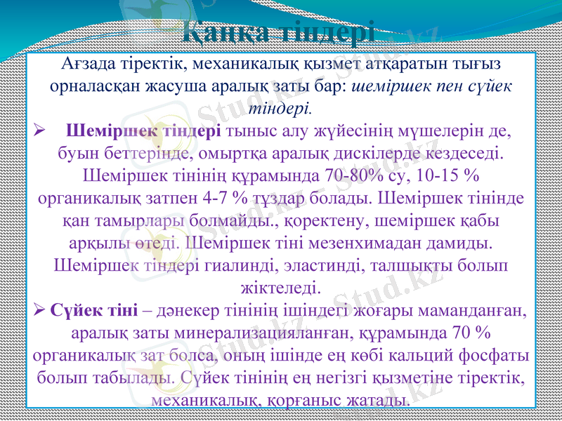 Slide 12