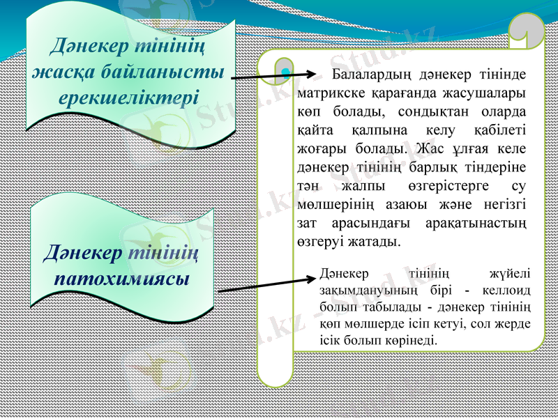 Slide 13