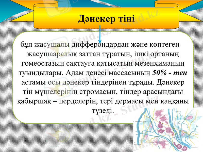 Slide 2