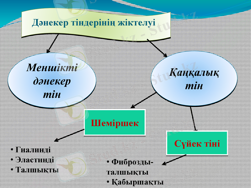 Slide 6
