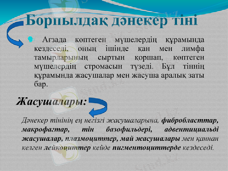 Slide 7