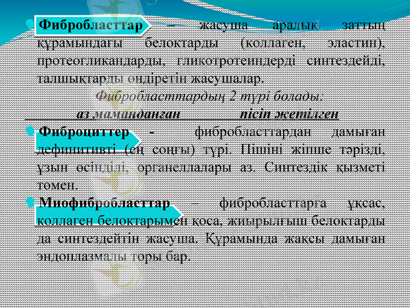 Slide 8