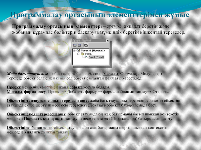 Slide 6