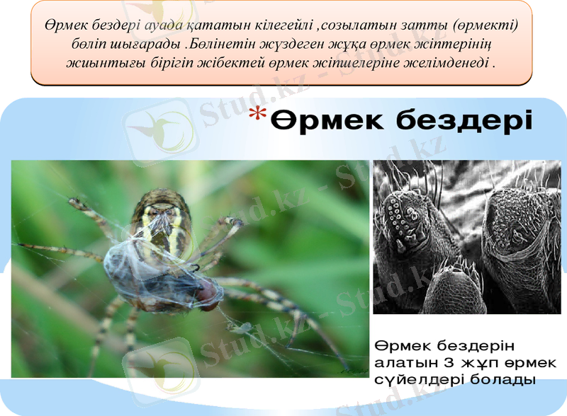 Slide 10