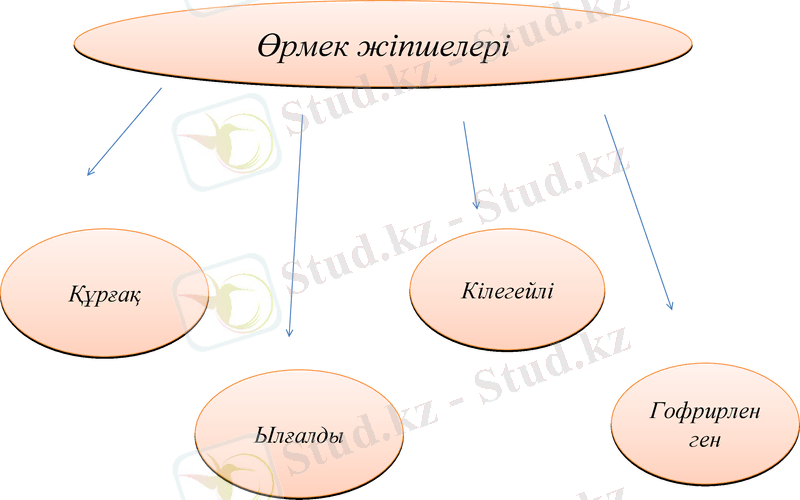 Slide 11