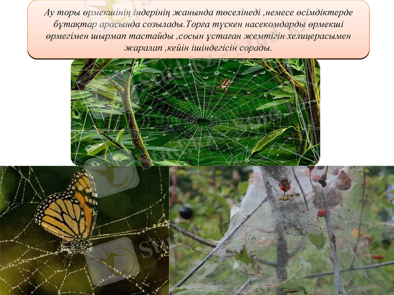 Slide 12