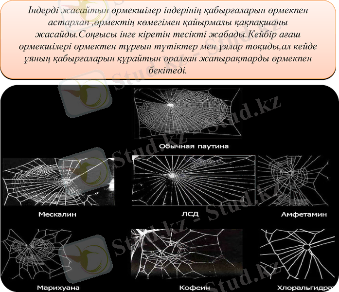 Slide 13