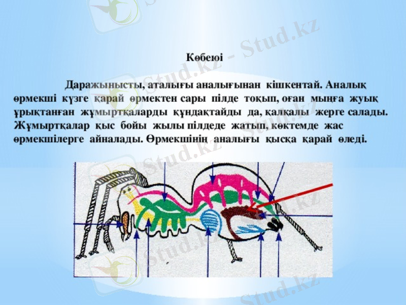 Slide 14