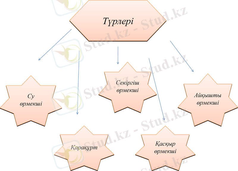 Slide 15