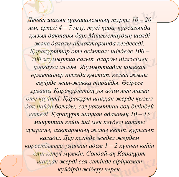 Slide 18