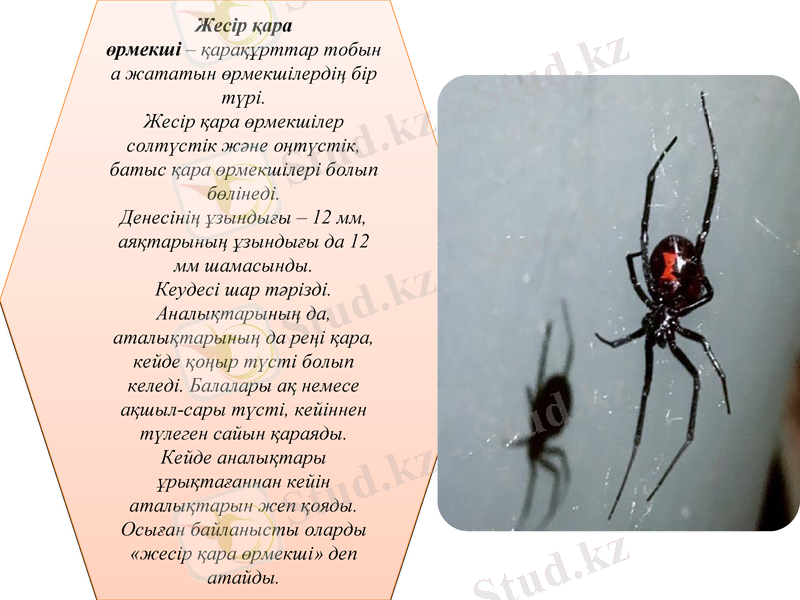 Slide 19