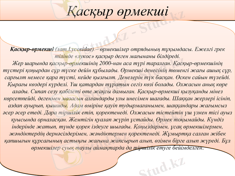 Slide 20
