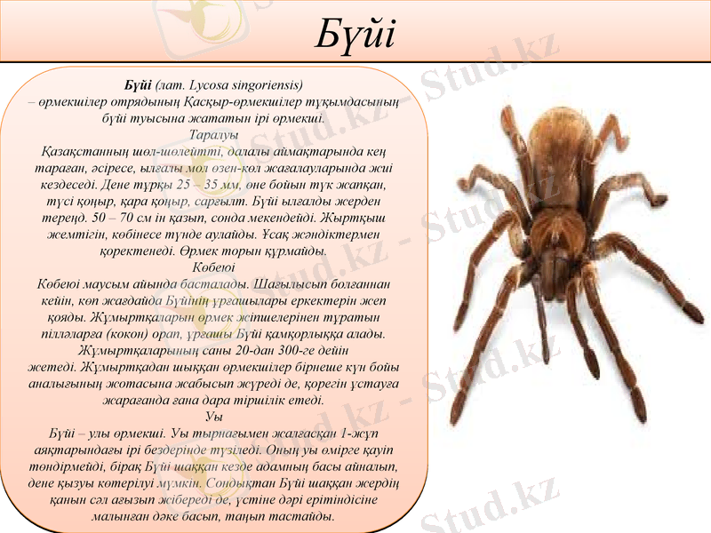 Slide 22