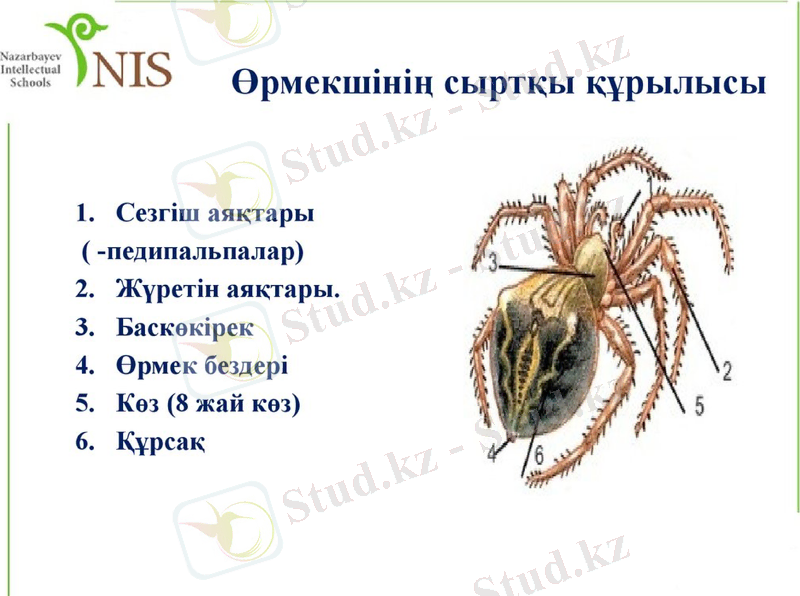 Slide 4