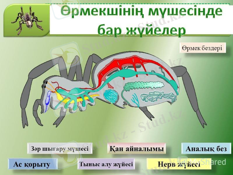 Slide 7
