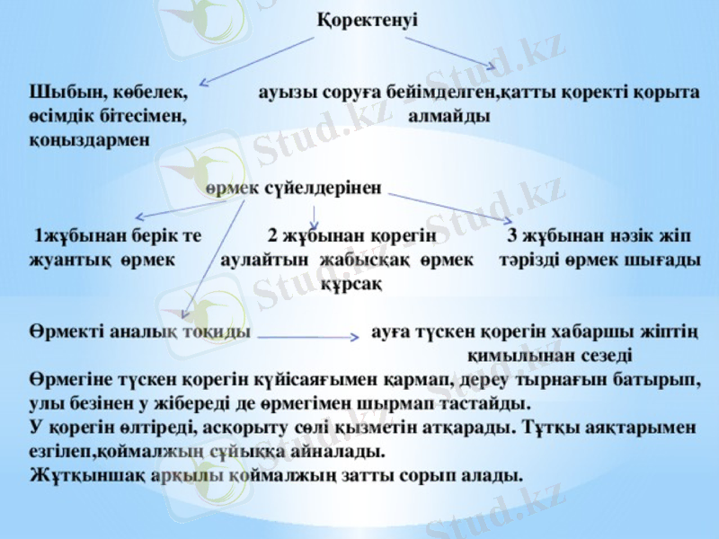 Slide 8