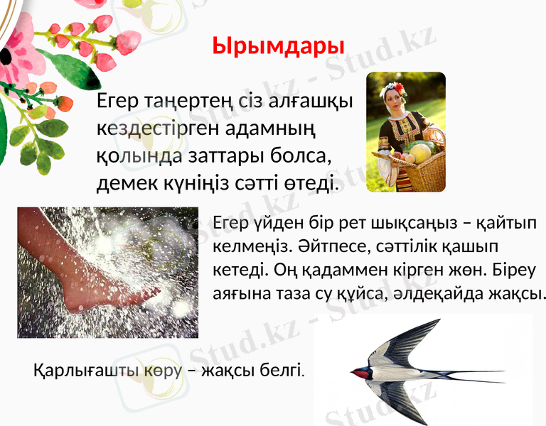 Slide 12