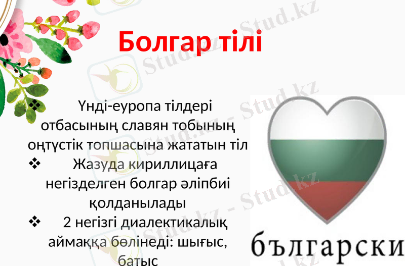 Slide 4