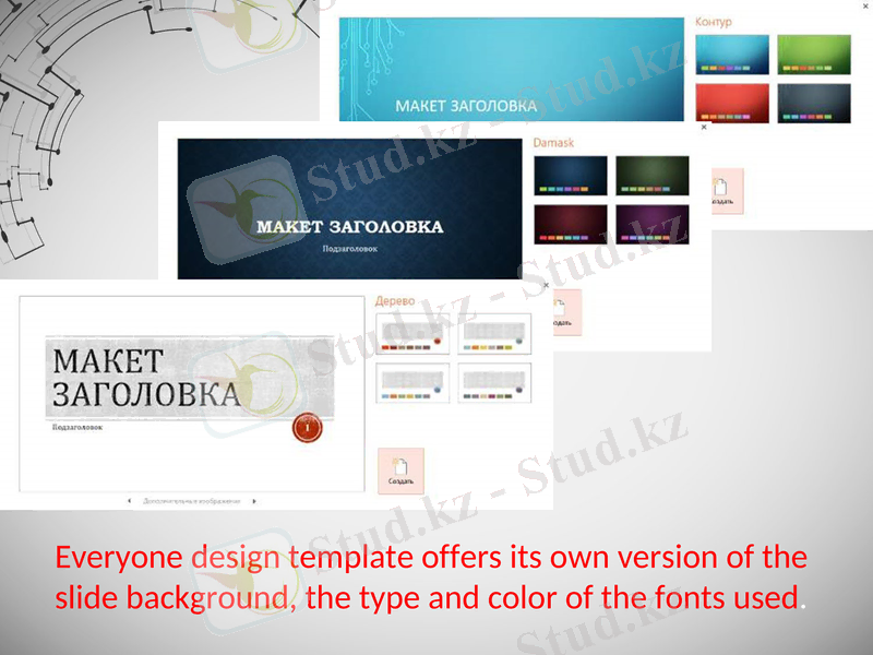 Slide 6