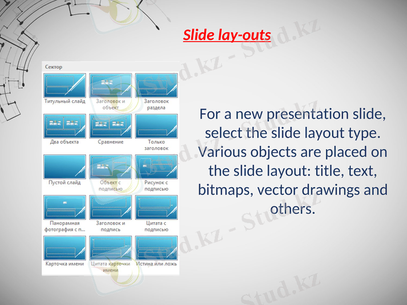 Slide 7