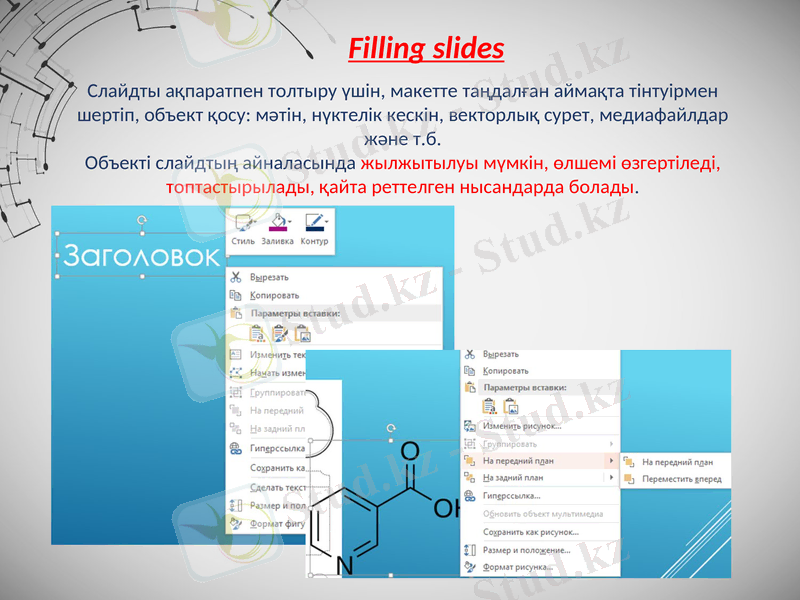 Slide 8