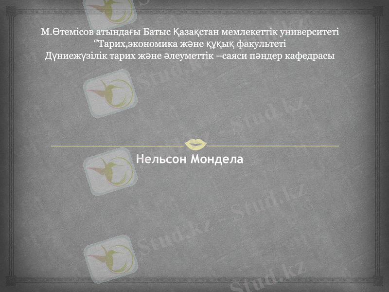 Slide 1