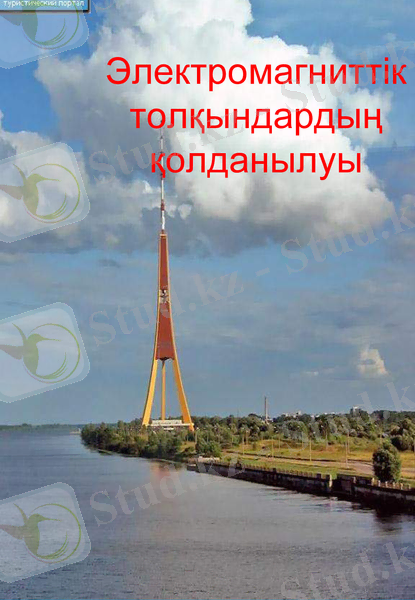 Slide 11