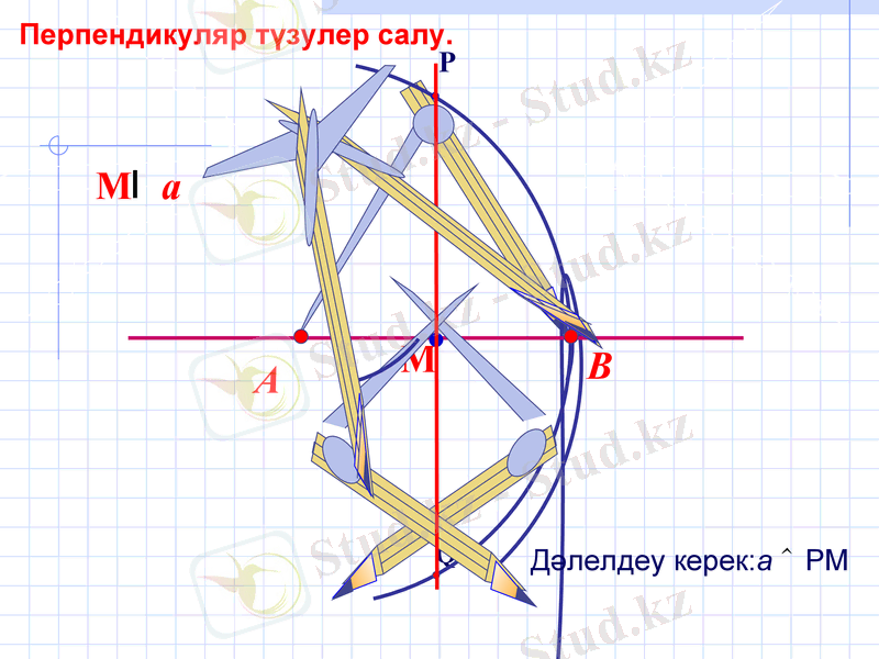 Slide 7