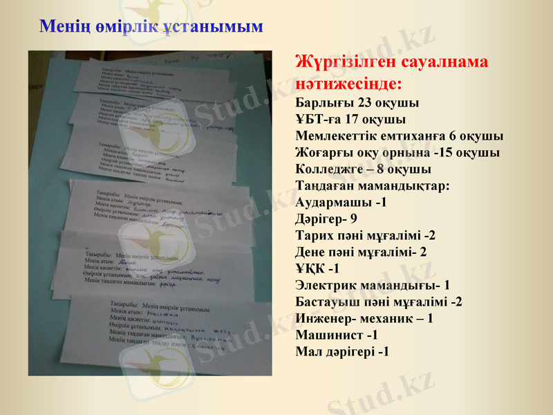 Slide 6