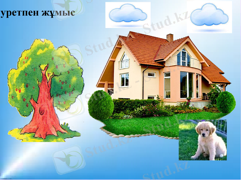 Slide 8
